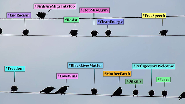 Even The Birds Know It, Rachel Ćosić and Zlatko Ćosić, 2017, video, 3:00